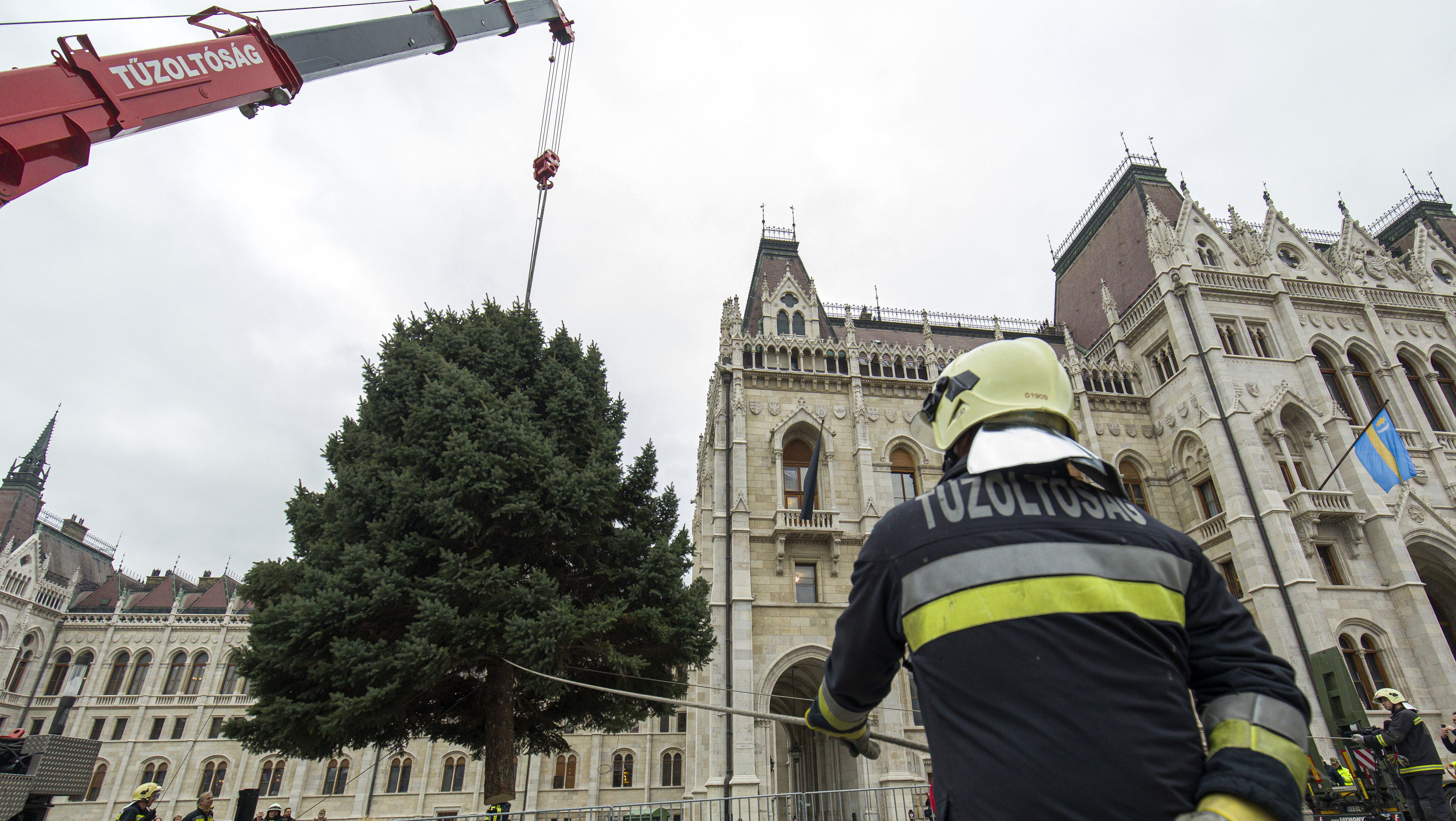 Veszprémből érkezett a Kossuth térre az ország karácsonyfája