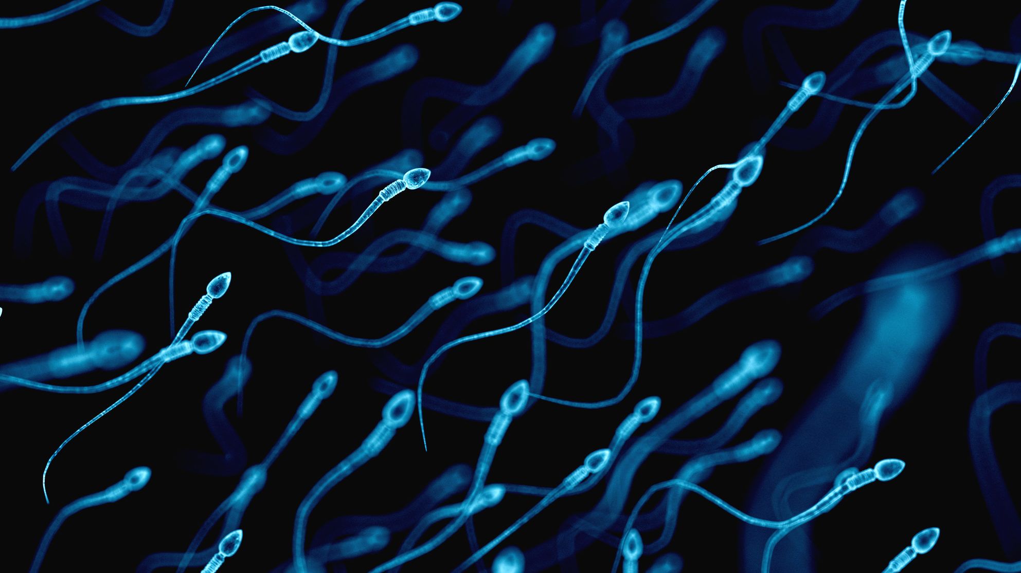 Egy éve ilyenkor: Öt meglepő tény a spermáról, amit nem tanítanak az iskolában
