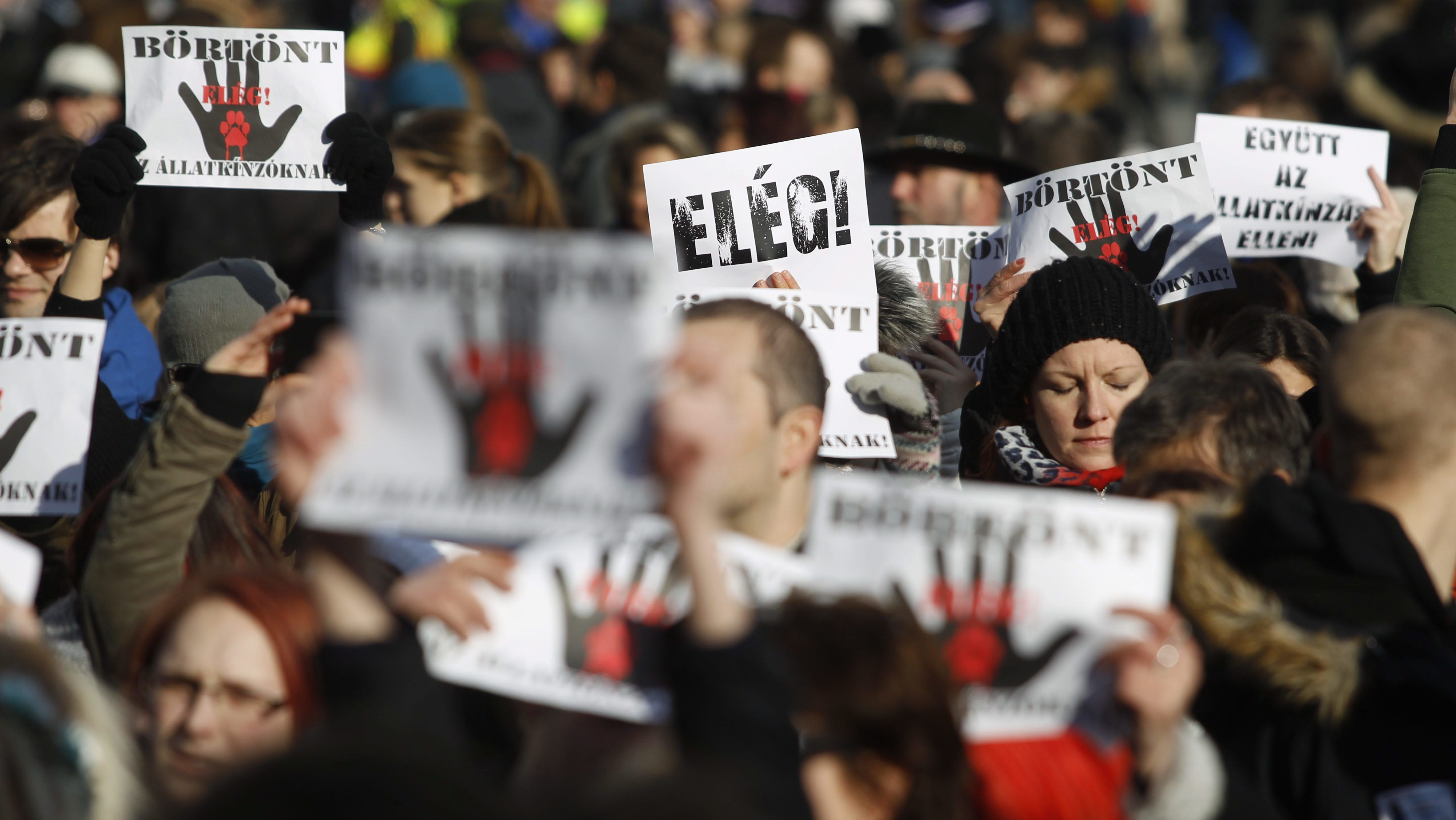  A Jobbik népszavazást kezdeményezett, hogy börtönbe kerüljenek az állatkínzók