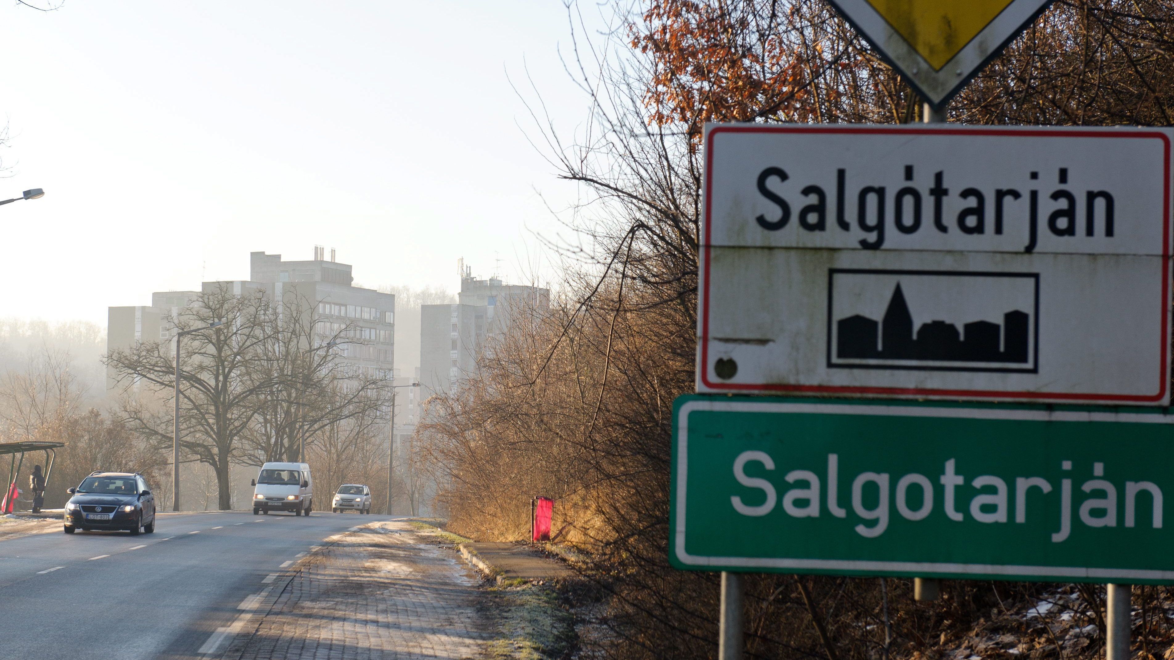 Szarvast gázoltak Salgótarjánnál, az állat elpusztult