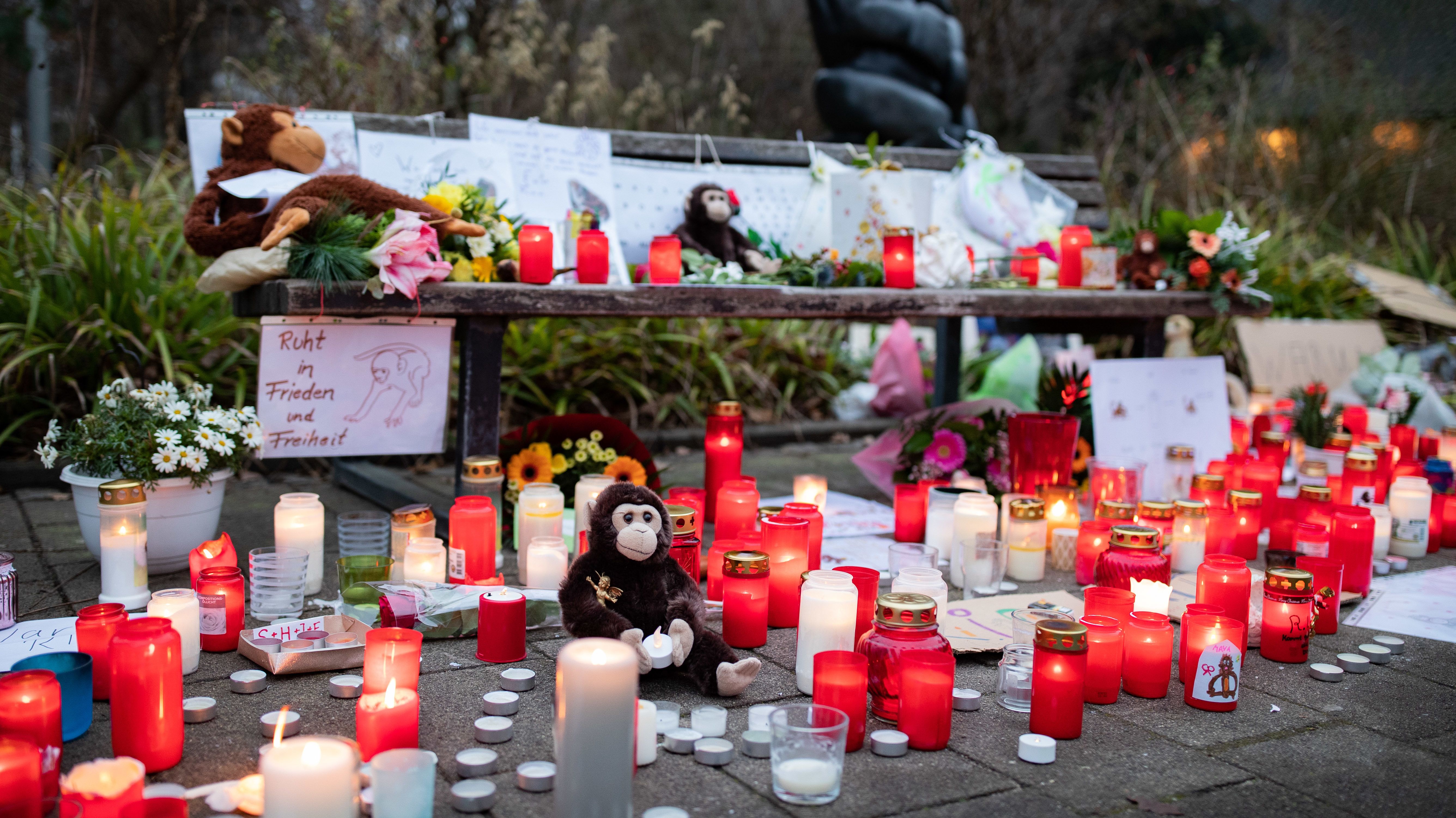 Jelentkeztek a német állatkerti tűz okozói a rendőrségen