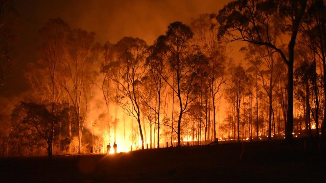 Itt tud segíteni az ausztráliai tűzvész áldozatainak