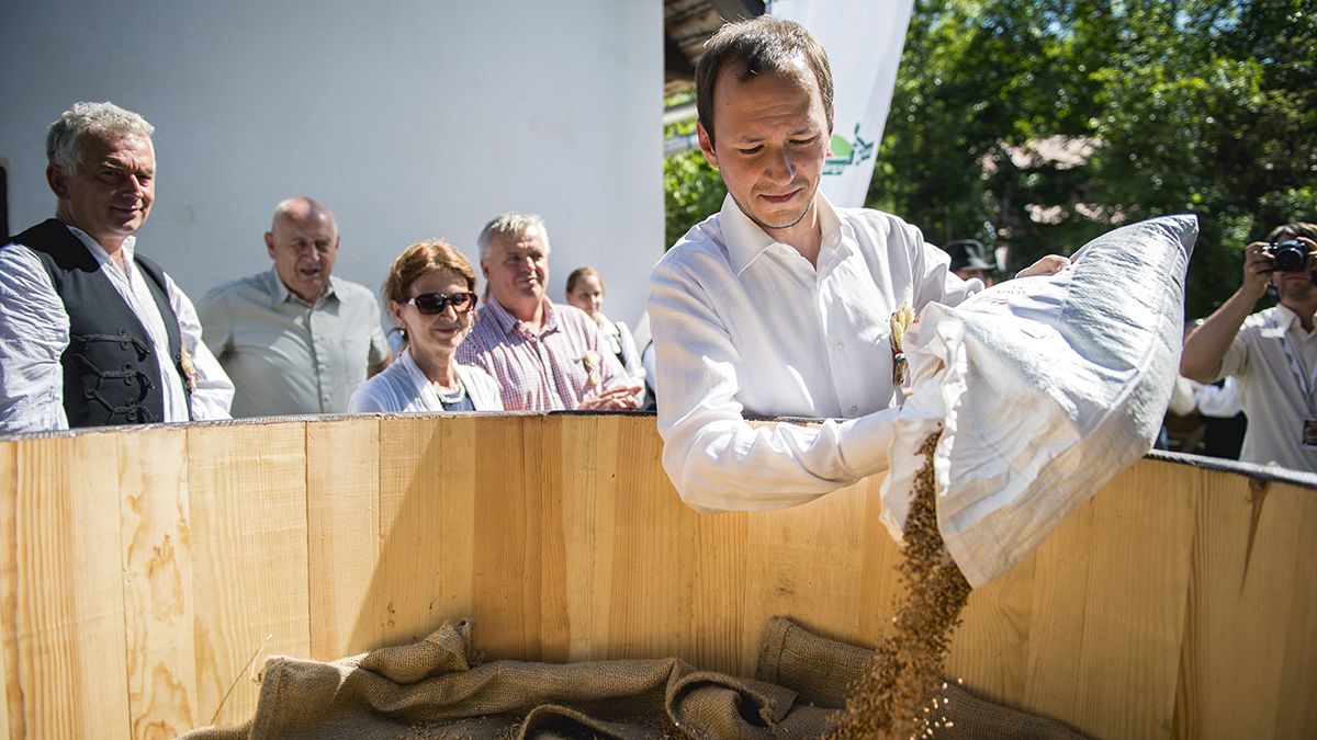 Templomi VIP-fideszes lett a Pécset elbukó Csizi Péter utódja