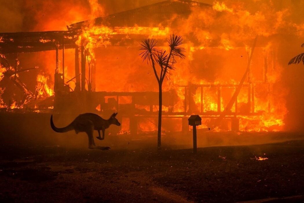 Ausztráliában élő magyarok meséltek a pusztító tűzvészről