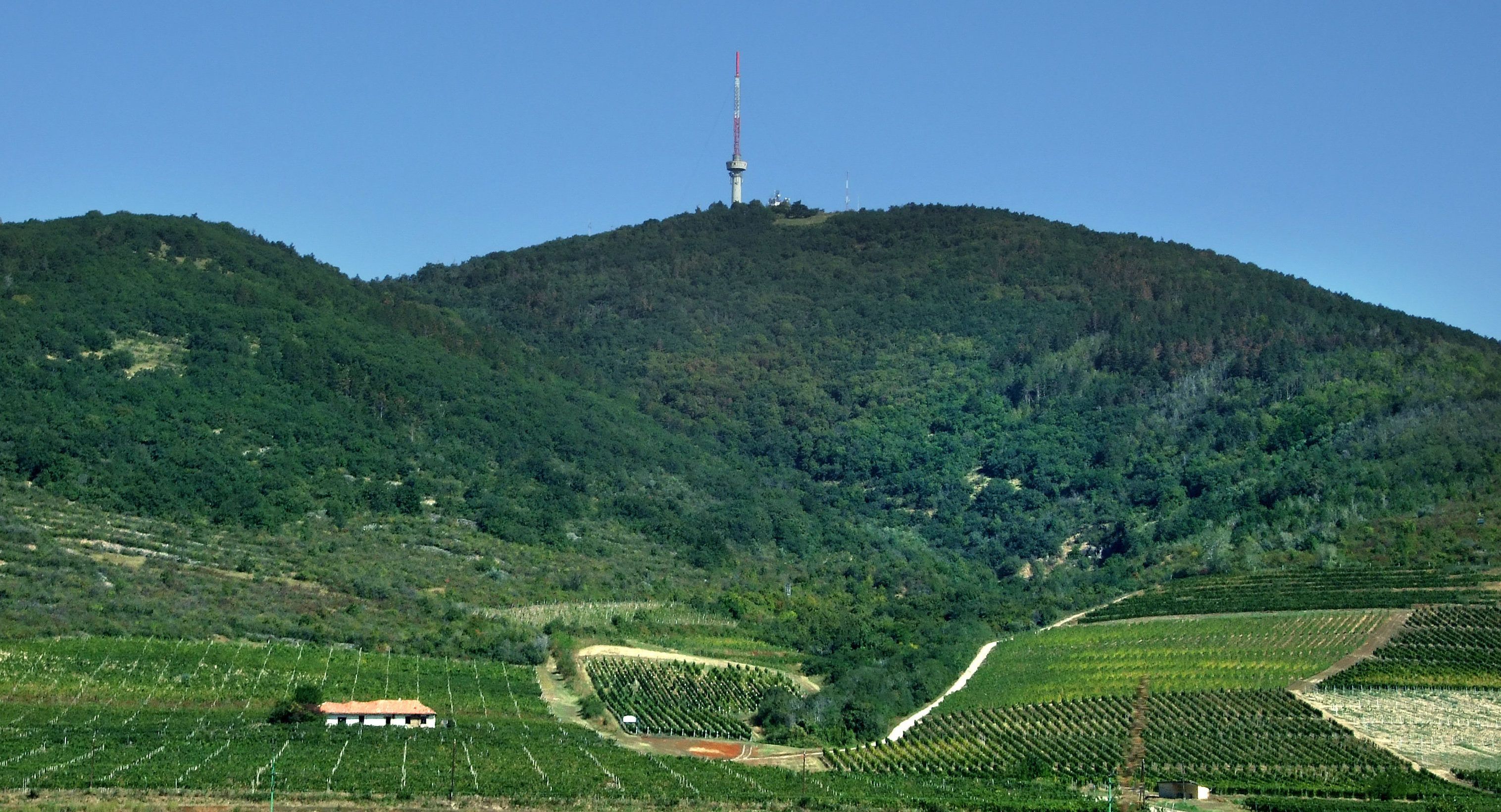 Mégsem lép életbe a Tokaj-hegyaljai borvidék védelméről szóló rendelet