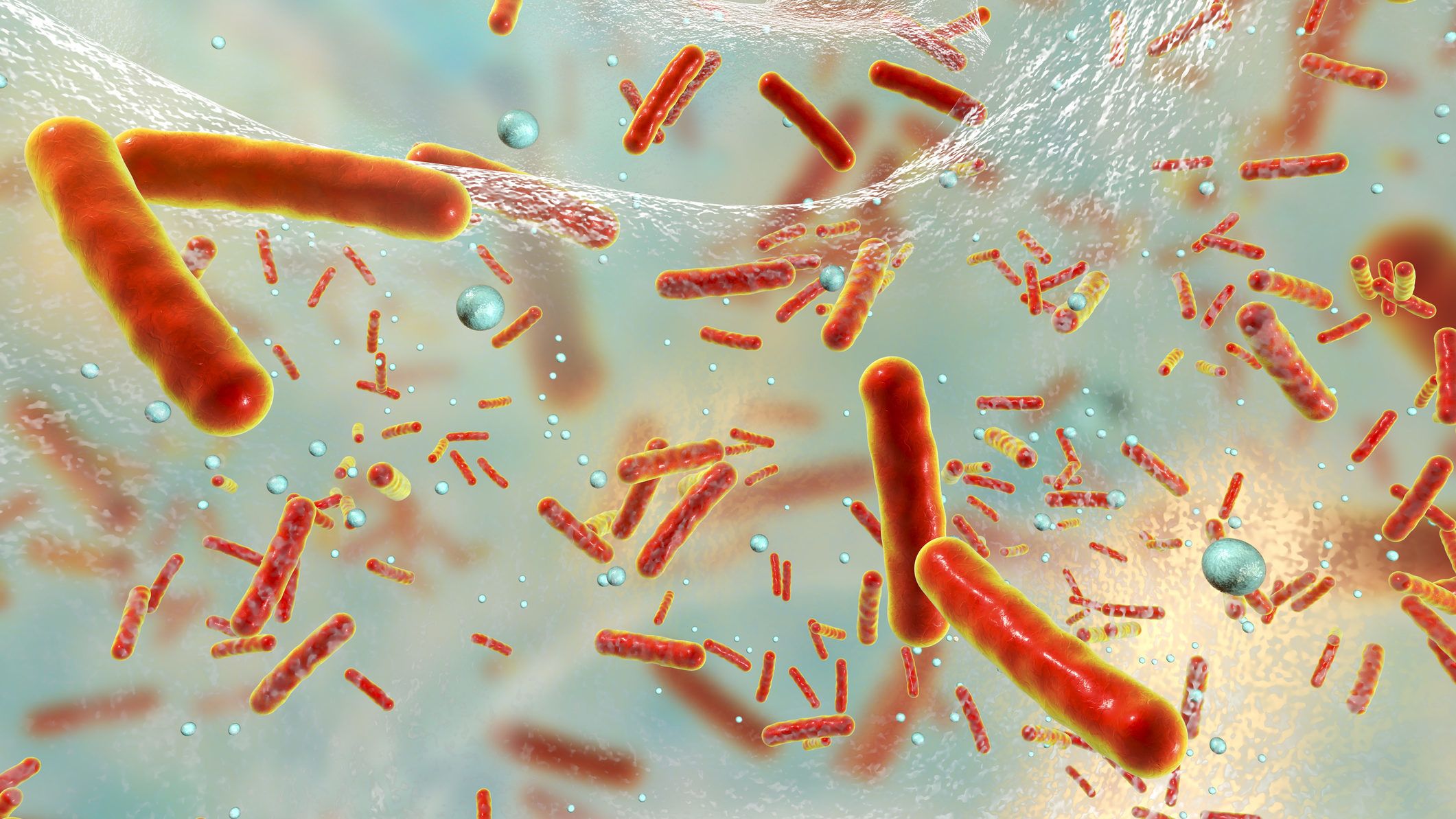 Magyar kutatók felfedezése segíthet megérteni a baktériumokat