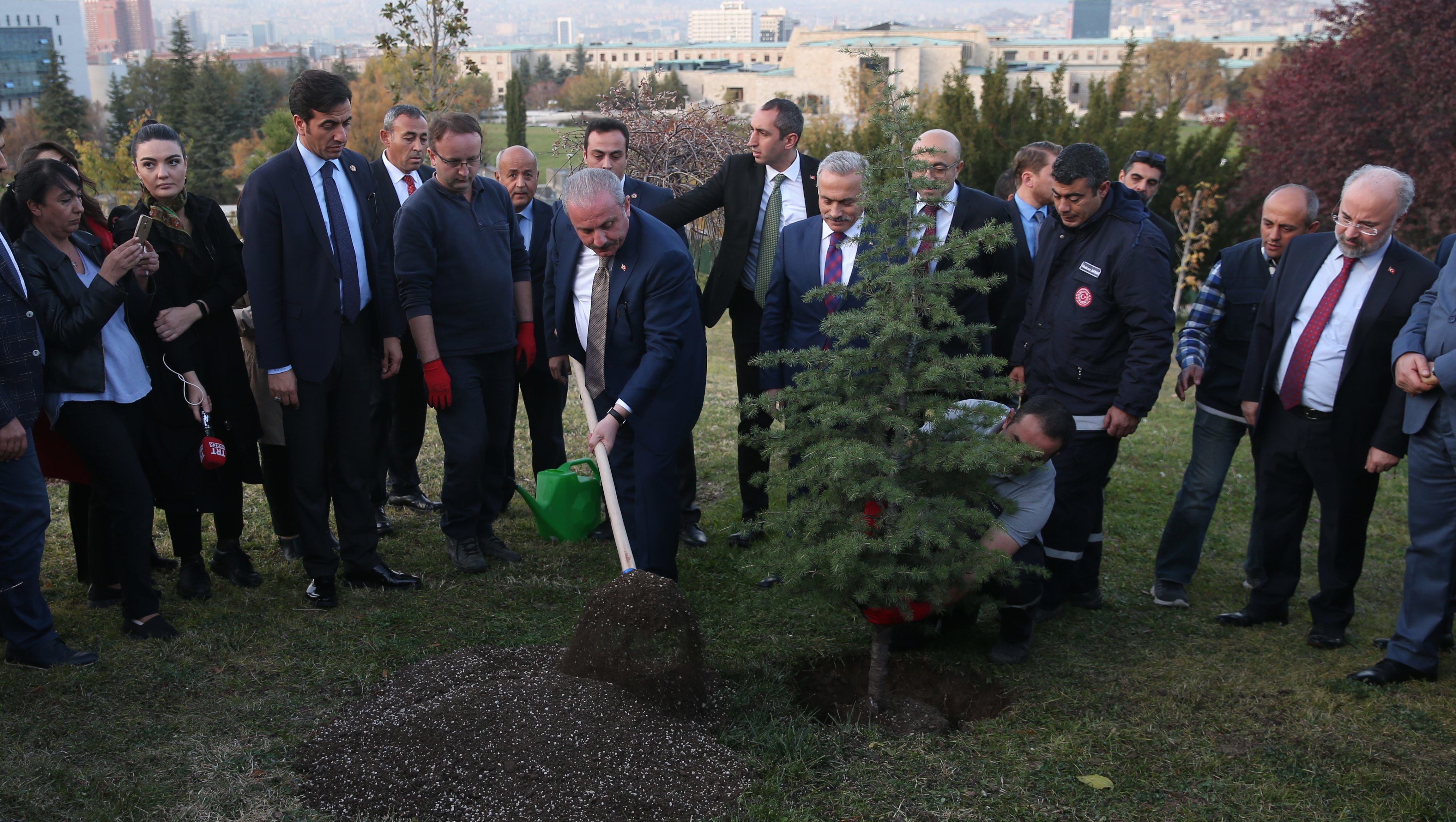 Törökország 11 millió fát ültetett, 90 százalékuk hónapokon belül kipusztulhatott