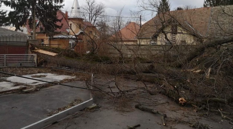 Kezdődik: Magyarországra ért a Ciara viharciklon, Sopronban már több mint 100 km/órás a szél