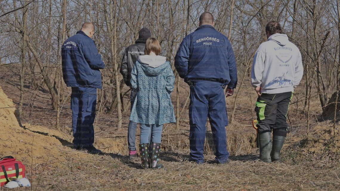 Hajdúsámsoni kutyatetemek: nyomozás indult