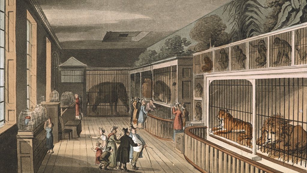 A brit állatkertek ősében kutyákkal és macskákkal is fizethettek a belépőért