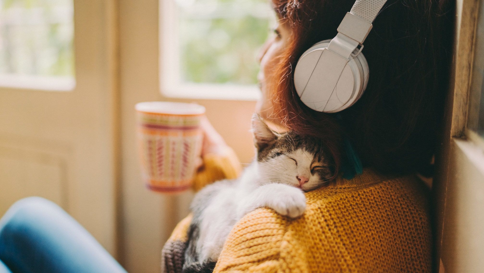 Stresszes macskának ez a legmegnyugtatóbb zene