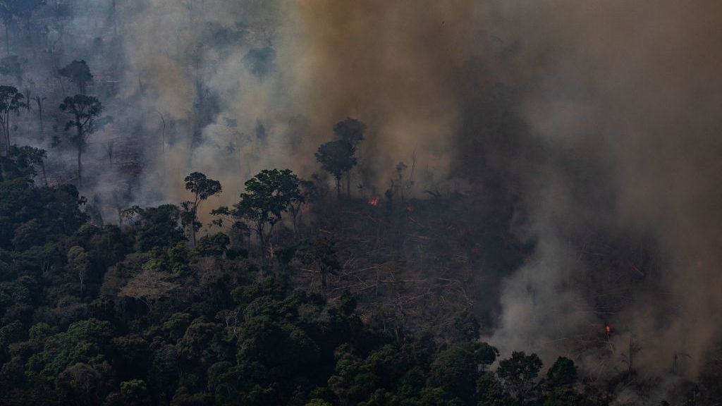 Nemsokára már termelni, nem elnyelni fogják a szén-dioxidot az esőerdők