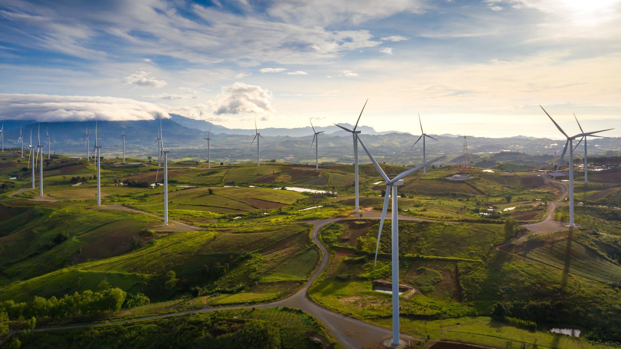 Az élővilágot fenyegetheti a zöld energia