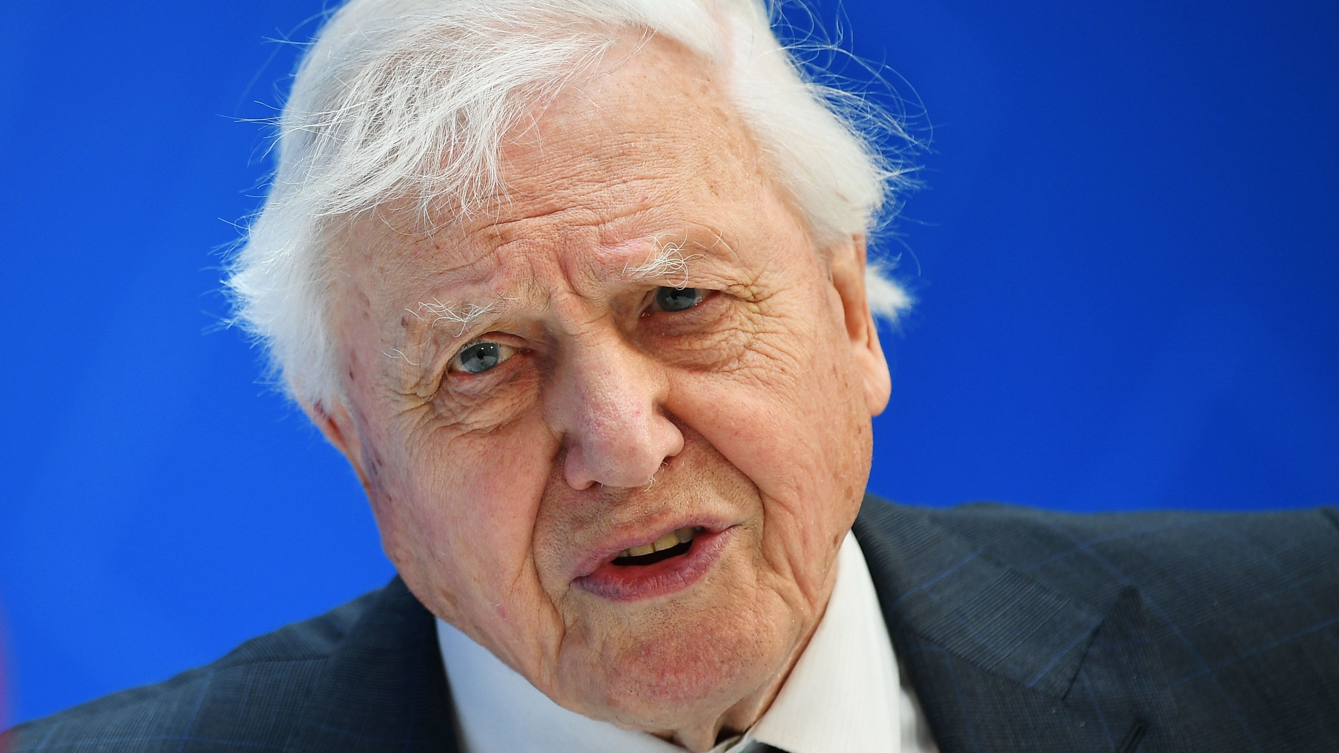 David Attenborough: A természet lehet a vigasz forrása