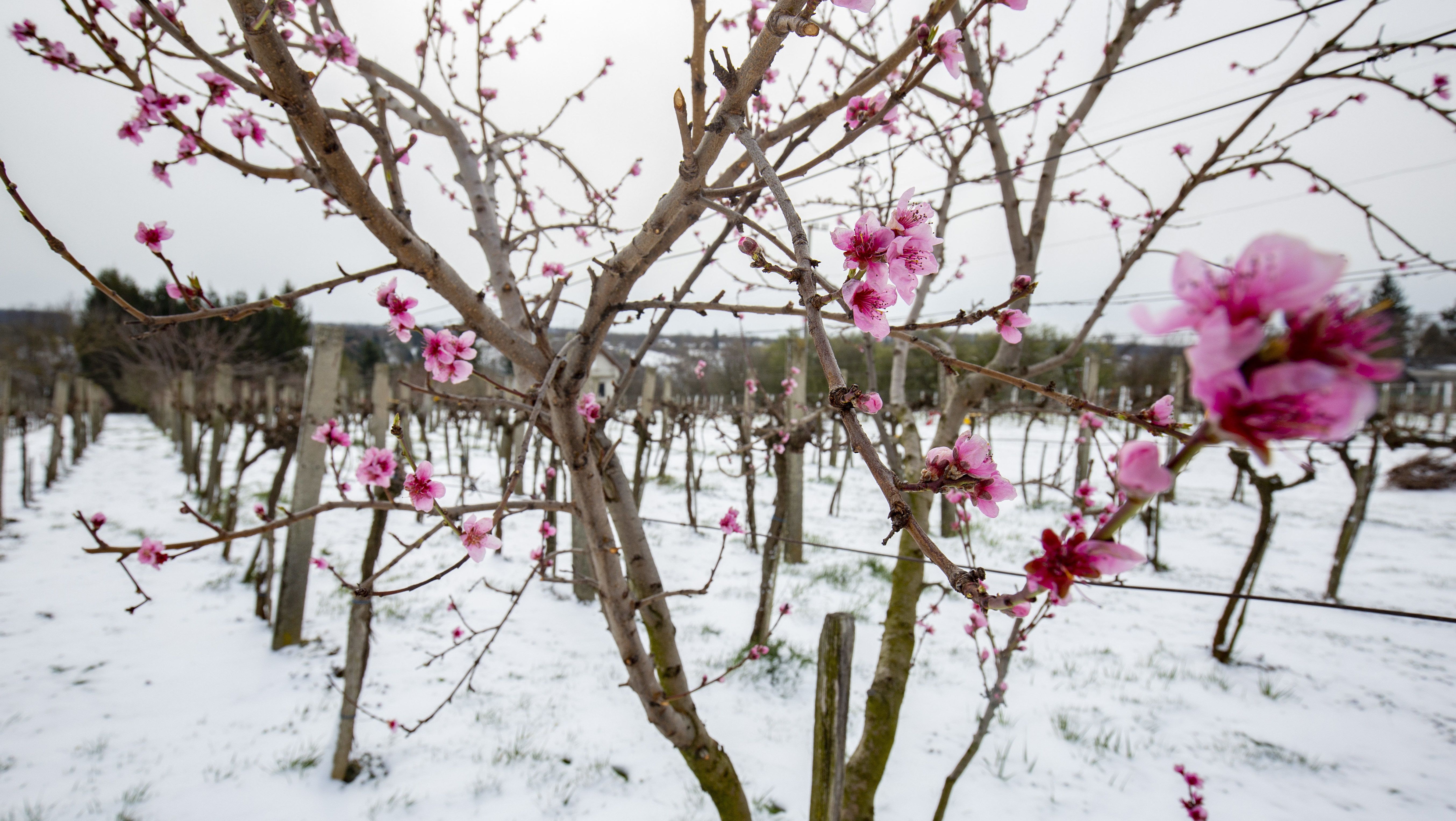 -12 fokkal megdőlt a hidegrekord hajnalban