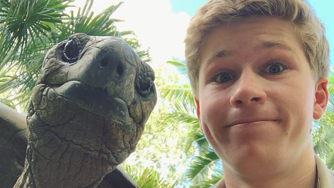 Van abban valami megnyugtató, ahogy Steve Irwin fia egy óriásteknőssel szelfizik