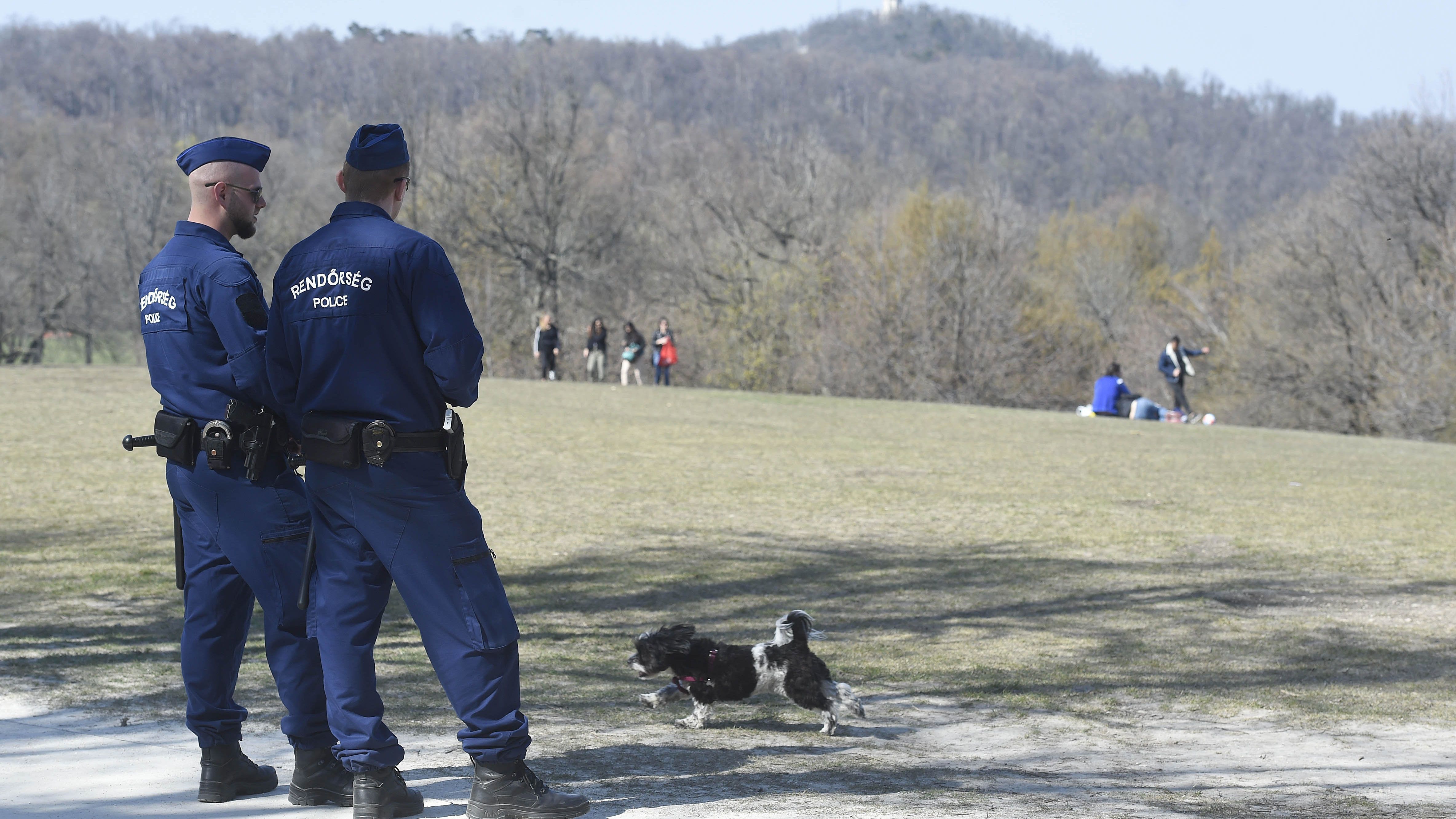 Rendőrök járőröznek a Normafán