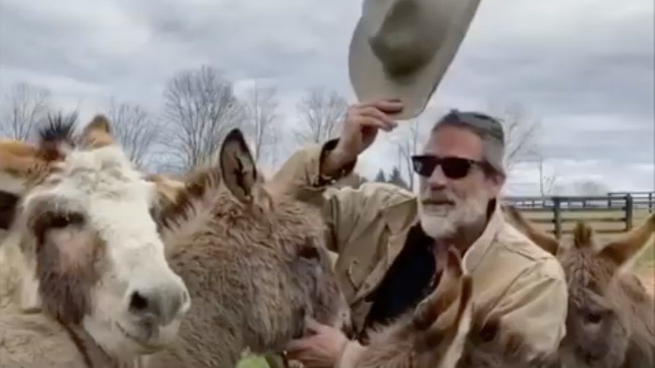 Jeffrey Dean Morgan szamártartásban megelőzte Schwarzeneggert