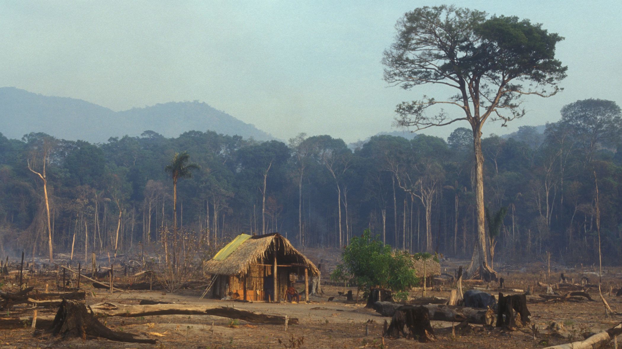 Drámaian nő az erdőirtás az Amazonas-medencében
