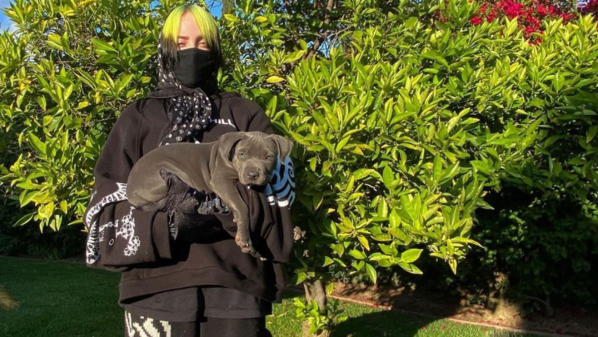 Billie Eilish visszatért az Instagramra és ledobta a cukiságbombát