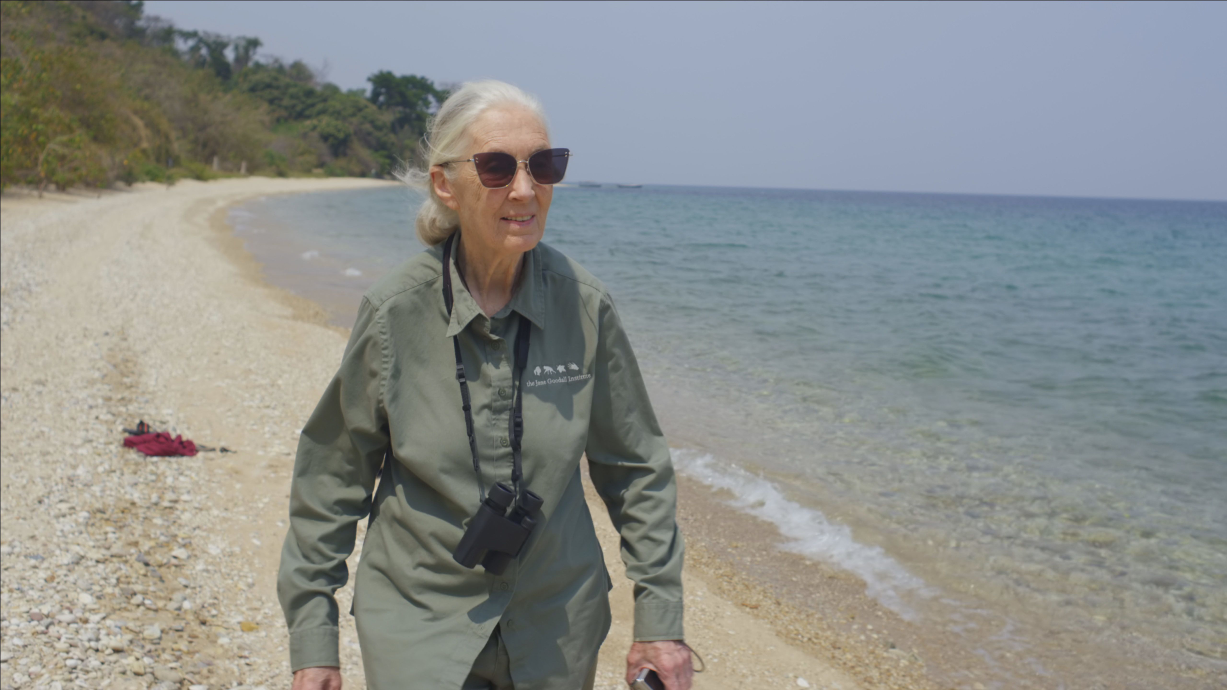 Jane Goodall: A koronavírus-járványból is van mit tanulni