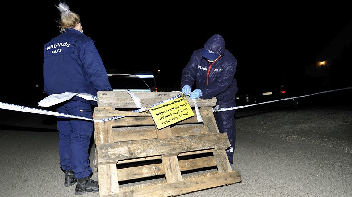 Két újszülött csecsemő csontjait találták meg Szentendrén, lesavazták őket