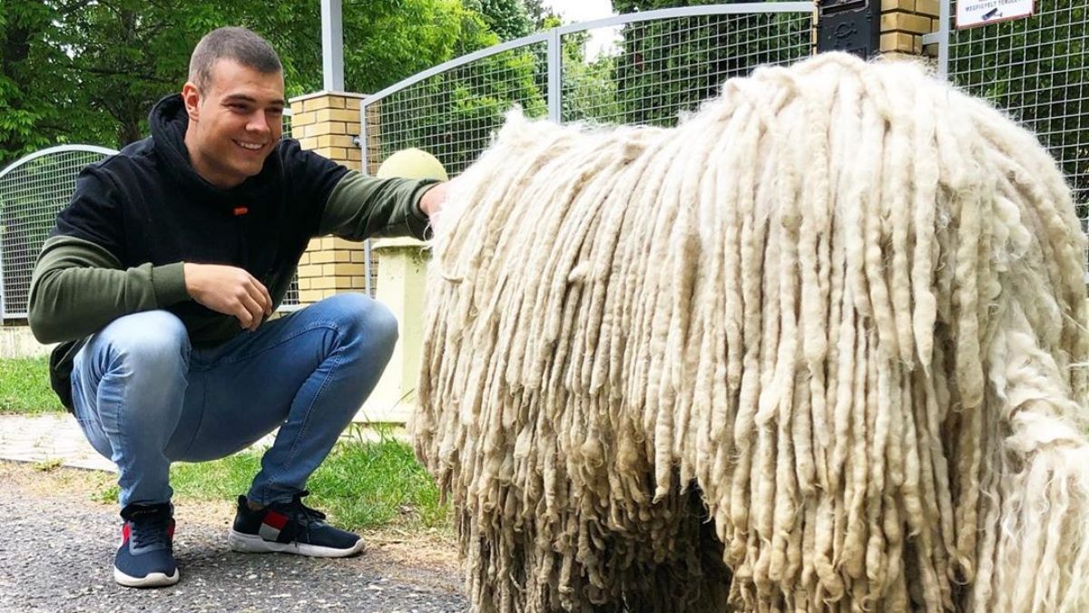 Pumped Gabo azt hitte ő nagy, de aztán találkozott egy kutyával