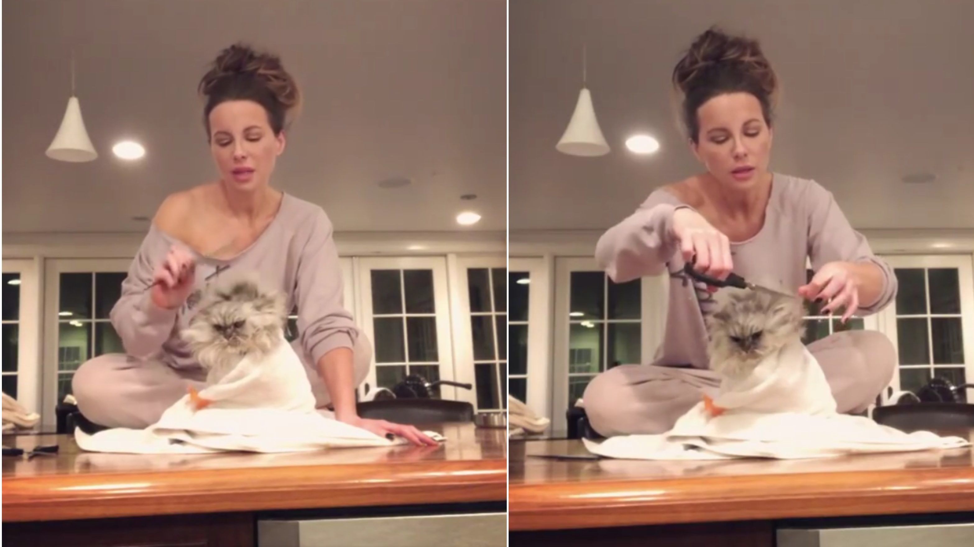Kate Beckinsale fodrászkodott kicsit otthon, de lehet, hogy a macskája nem örült ennek