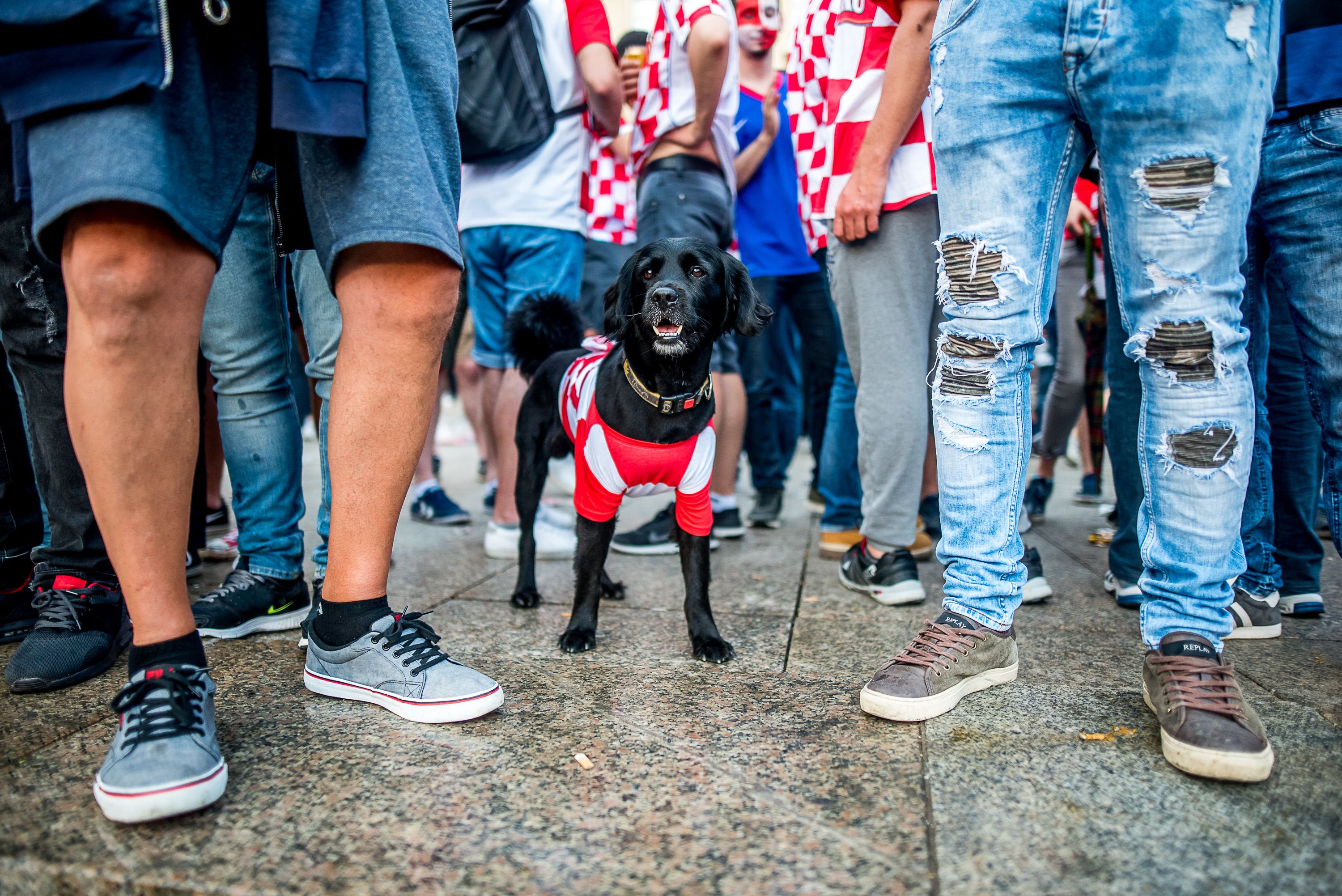 Mobilos appal lehet majd belépni Horvátországba