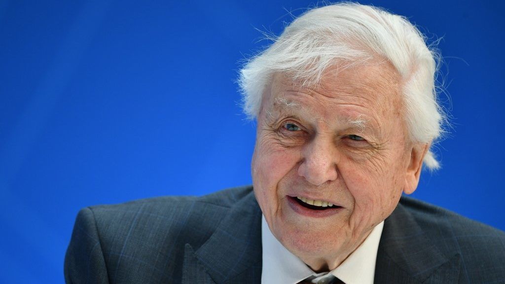 A 94 éves David Attenborough könyvben tesz tanúvallomást, hogyan tettük tönkre a Földet
