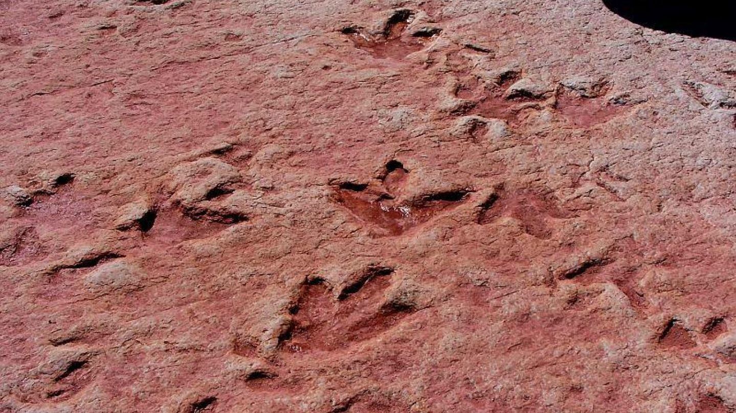 Új ragadozó dinoszauruszt fedeztek fel