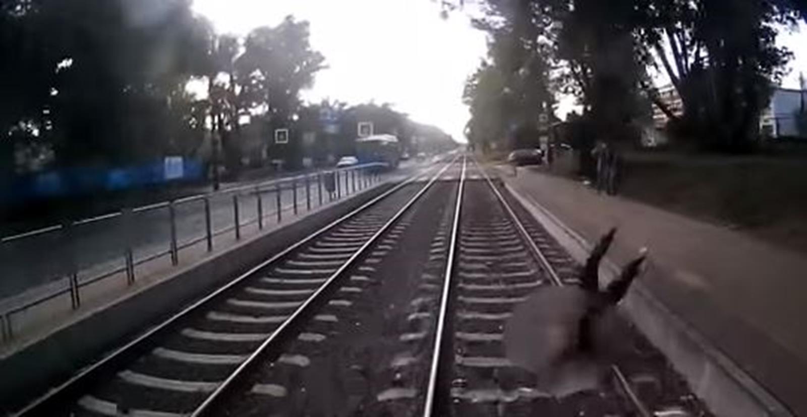 Sokkoló videó: Így esett a villamos elé egy férfi Budapesten