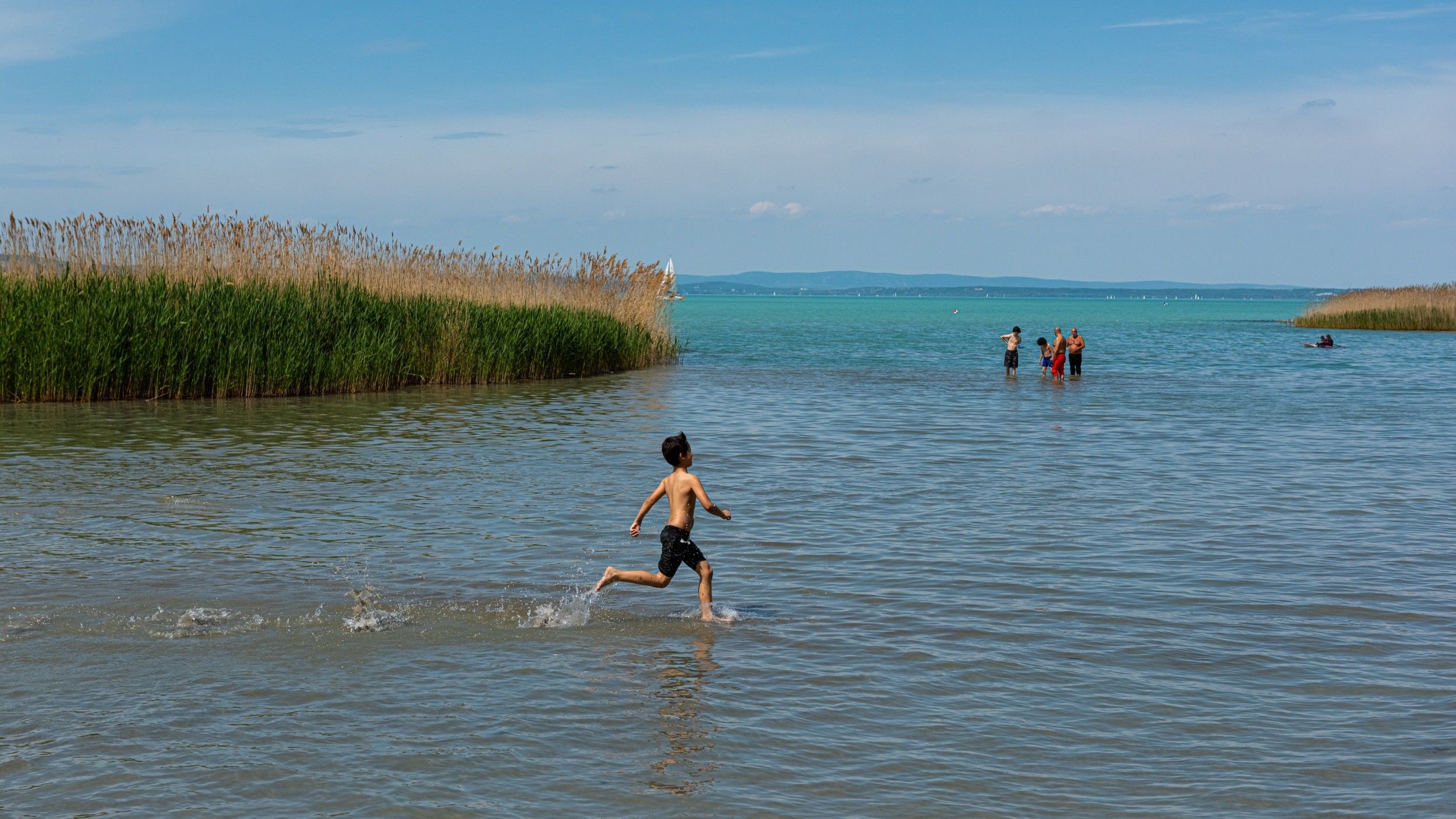 Vízminőségi készültséget rendeltek el a Balaton nyugati medencéjében