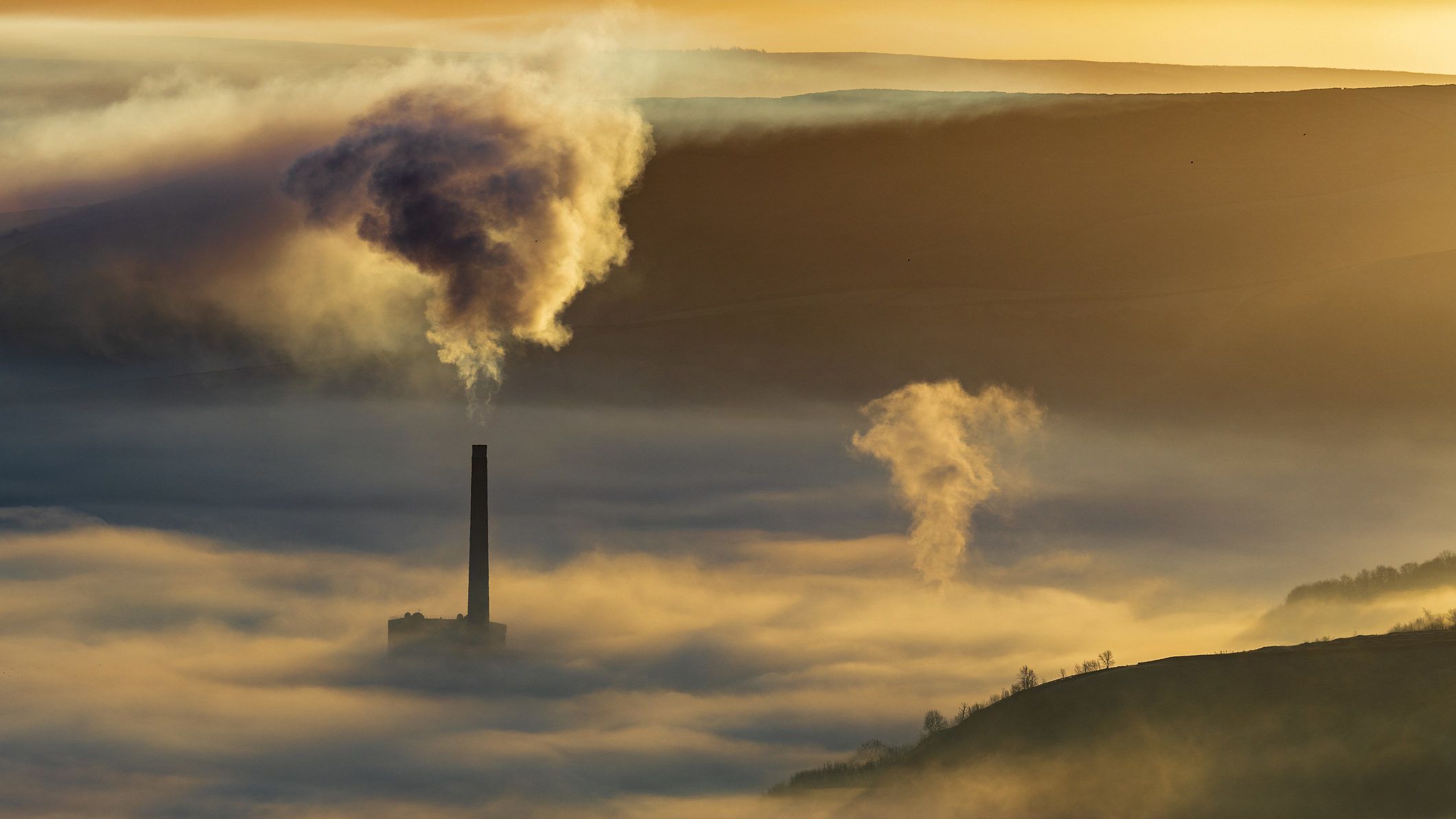 Egyszerű változtatással 2 milliárd tonna szén-dioxidot lehetne kivonni a légkörből