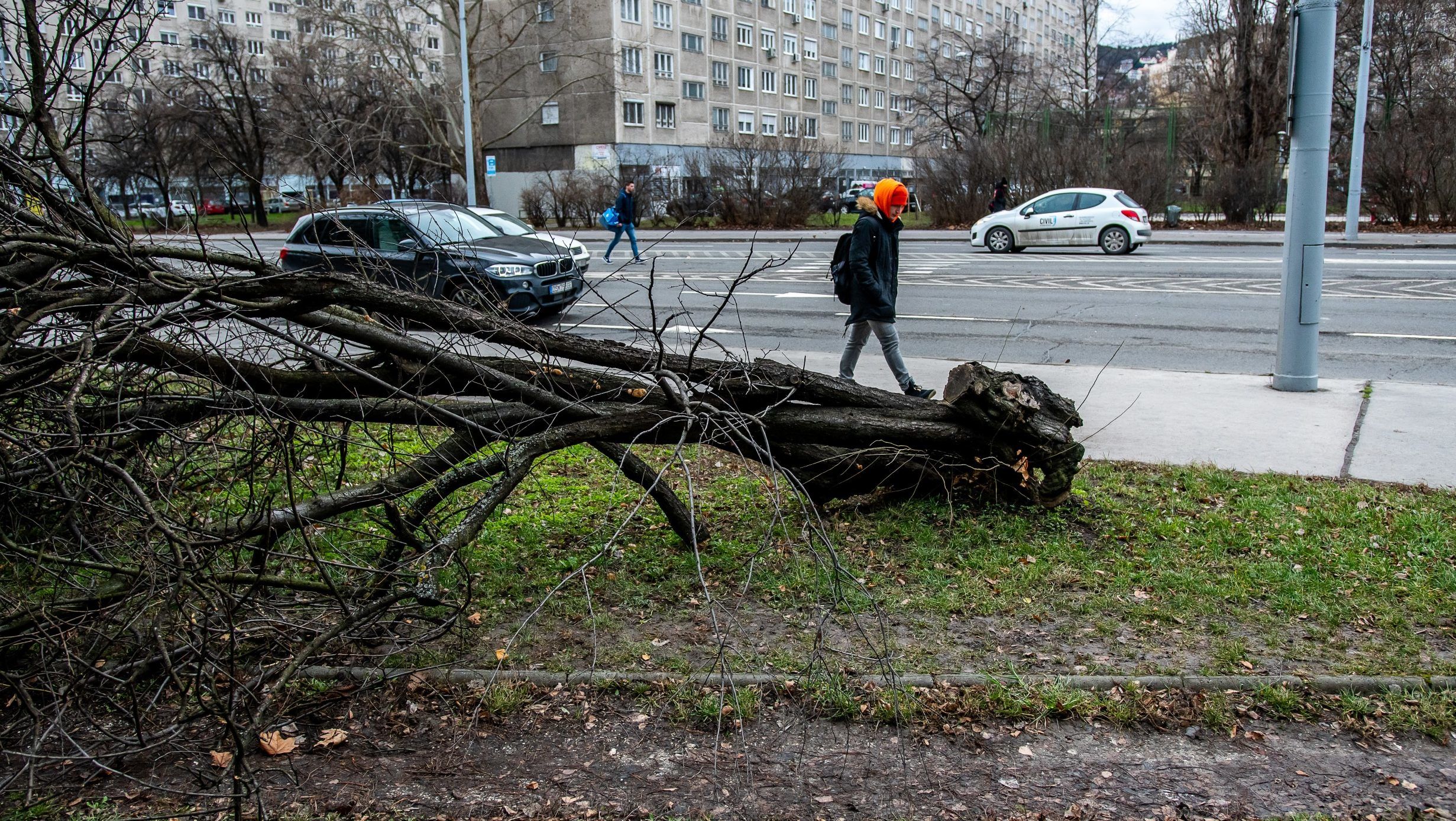 Irgalmatlan vihar Győr környékén: nem járnak a vonatok, 80 tűzoltót riasztottak