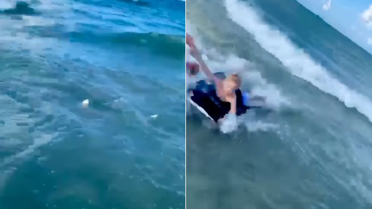 Videón, ahogy cápa mellől húznak ki egy kisfiút