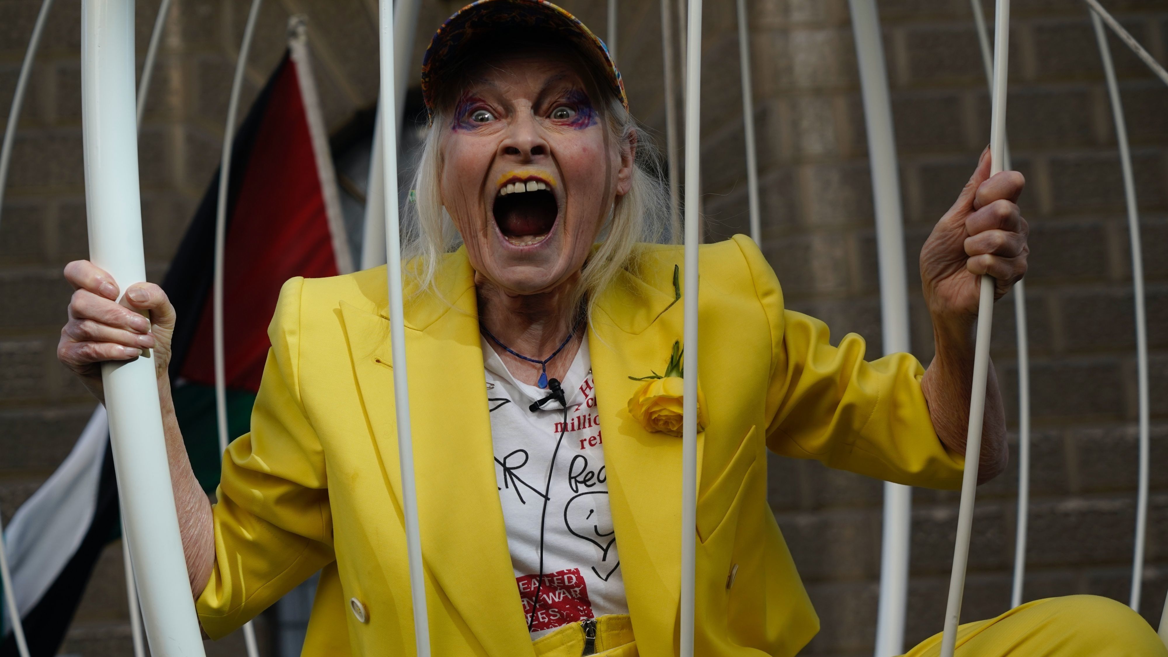 Vivienne Westwood óriási madárkalitkában tüntetett Julian Assange kiadatása ellen