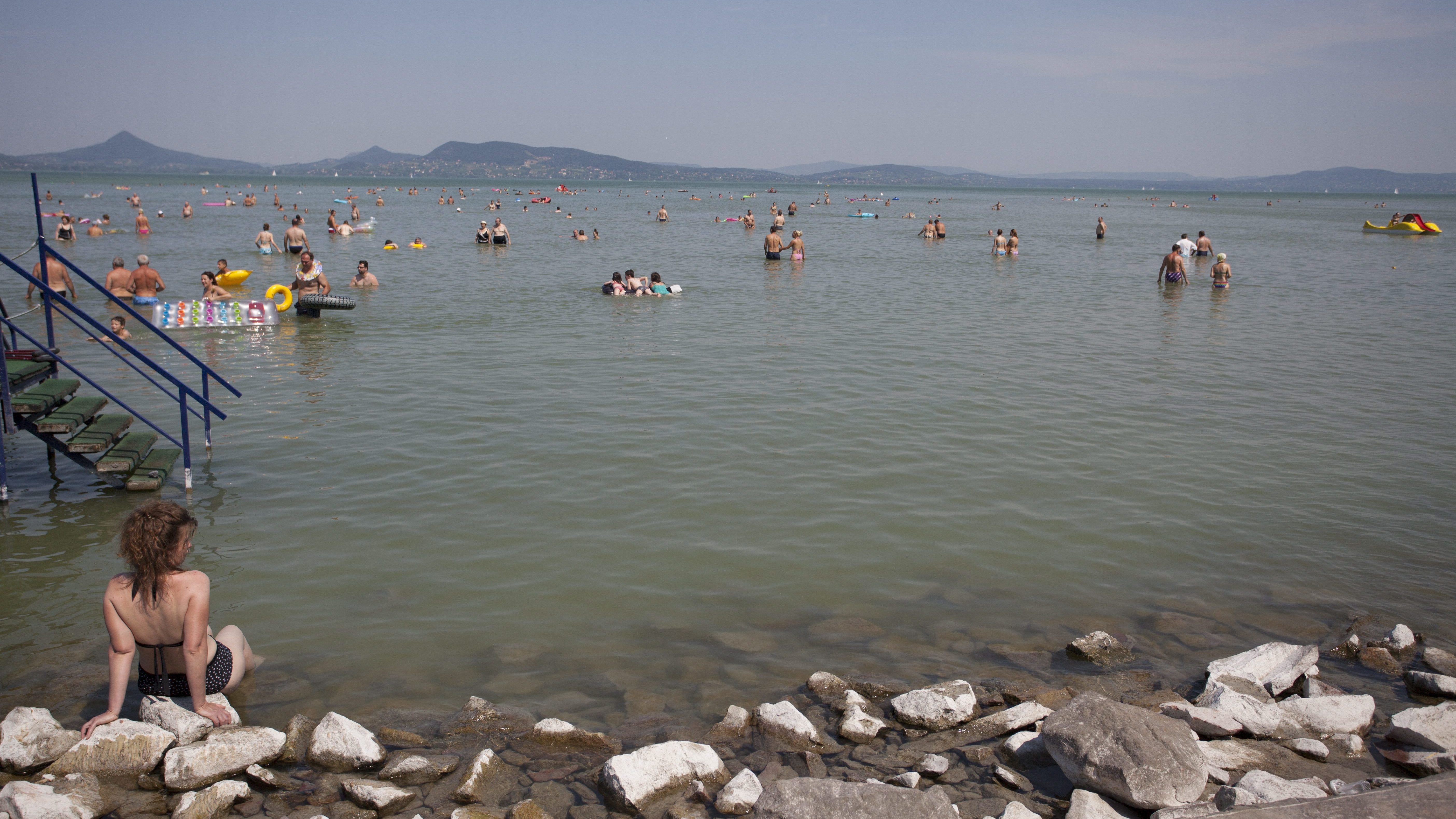 Tömegesen megjelentek a kékalgák a Balaton vízfelszínén