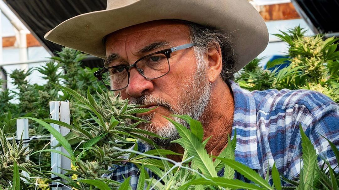 James Belushi kannabiszfarmja külön műsort kap az amerikai Discovery-n