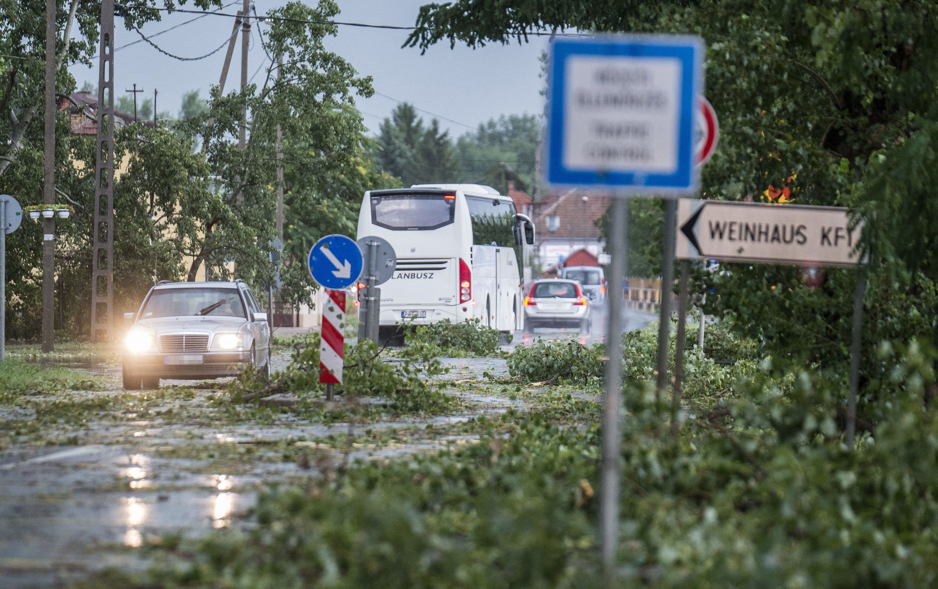 Több helyen vezetékeket is leszakított a hétfői viharos szél