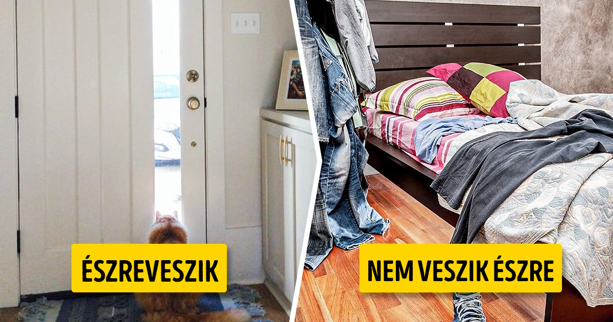 12 dolog a lakásban, amit az emberek mindig észrevesznek, amikor vendégségbe mennek