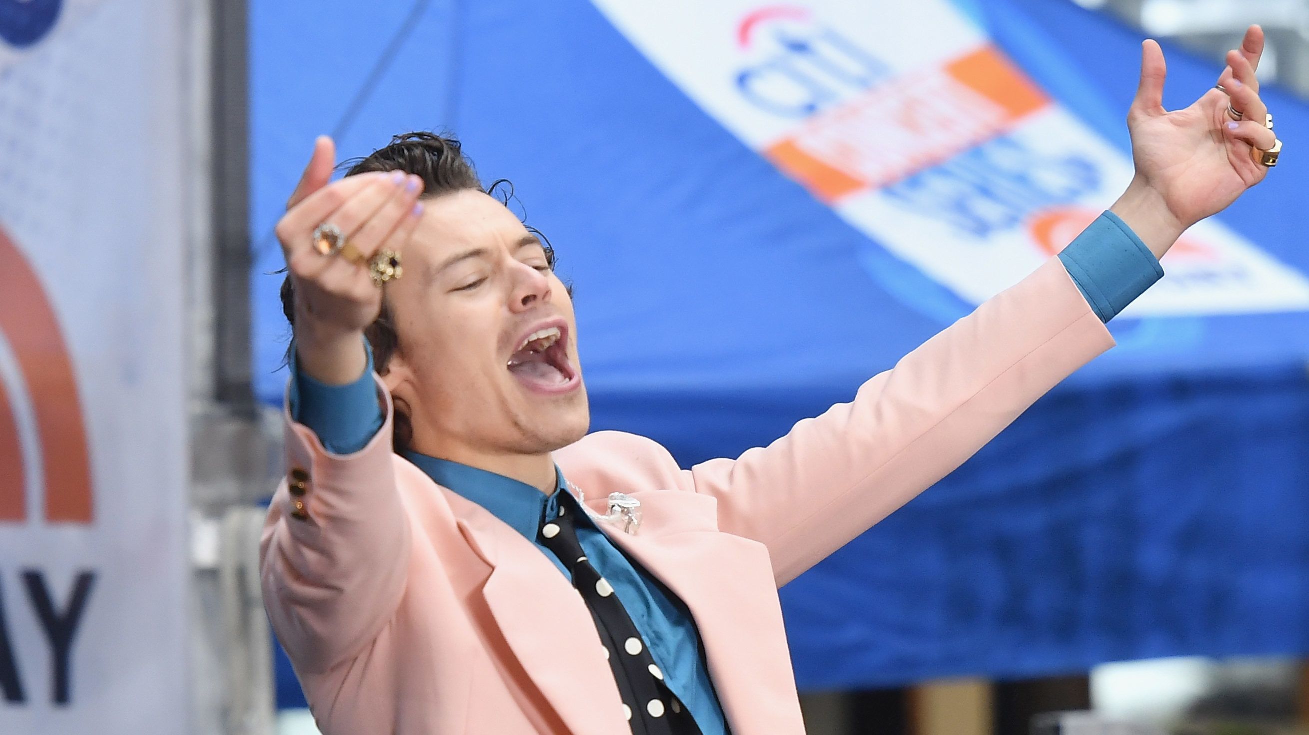 Meleg szerelmi történetben lesz főszereplő Harry Styles