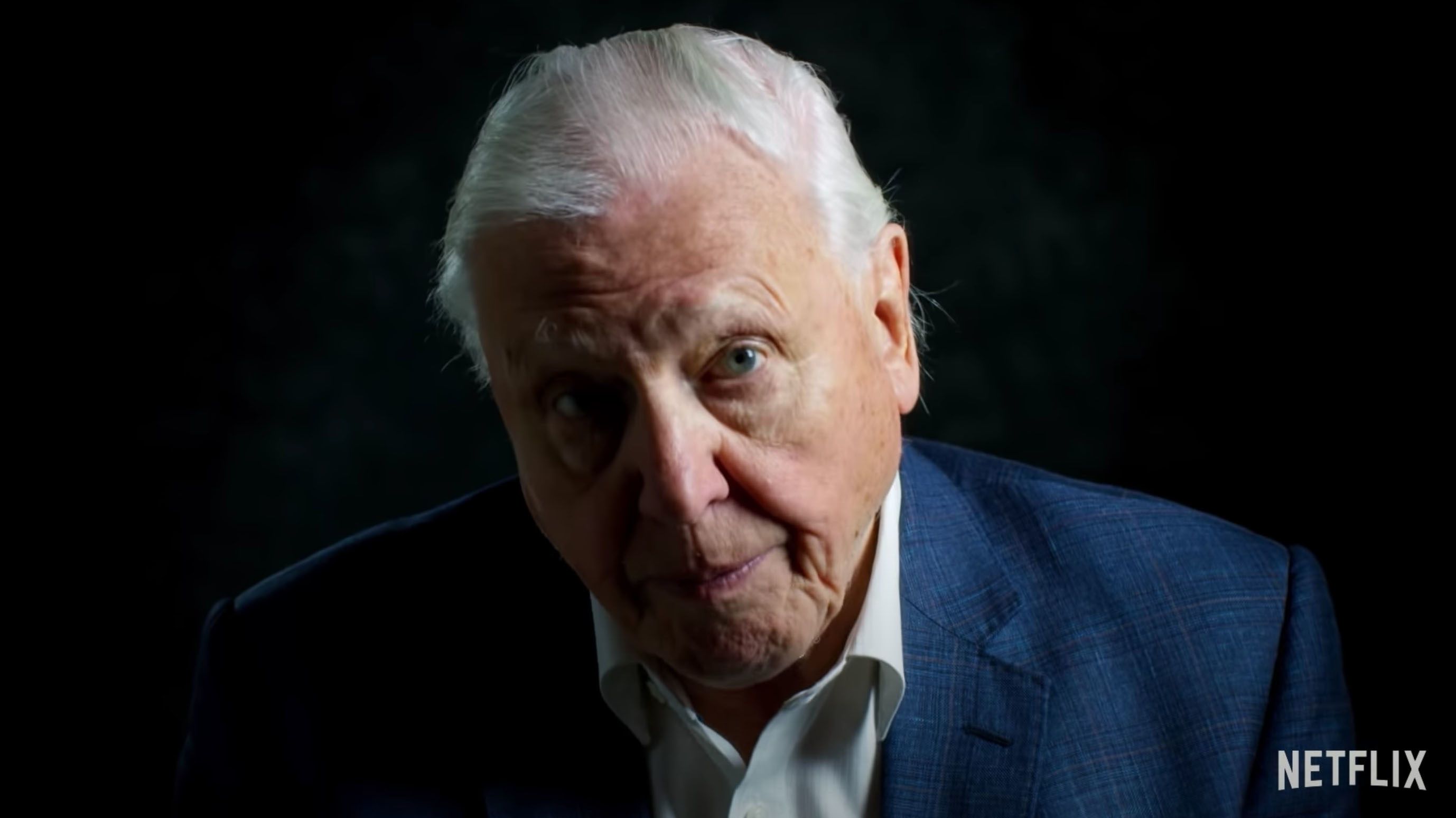 David Attenborough 94 évesen regisztrált Instagramra, hogy ott is elmondja: baj van