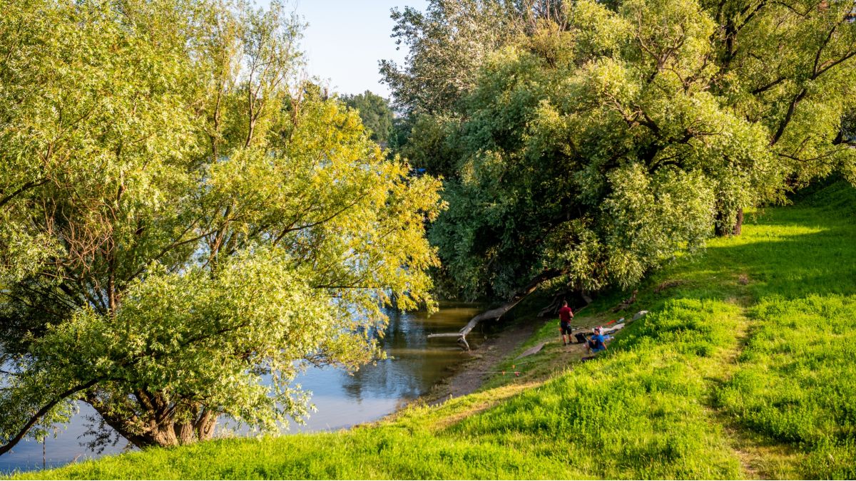 Megszületett a döntés a Hajógyári-szigetről