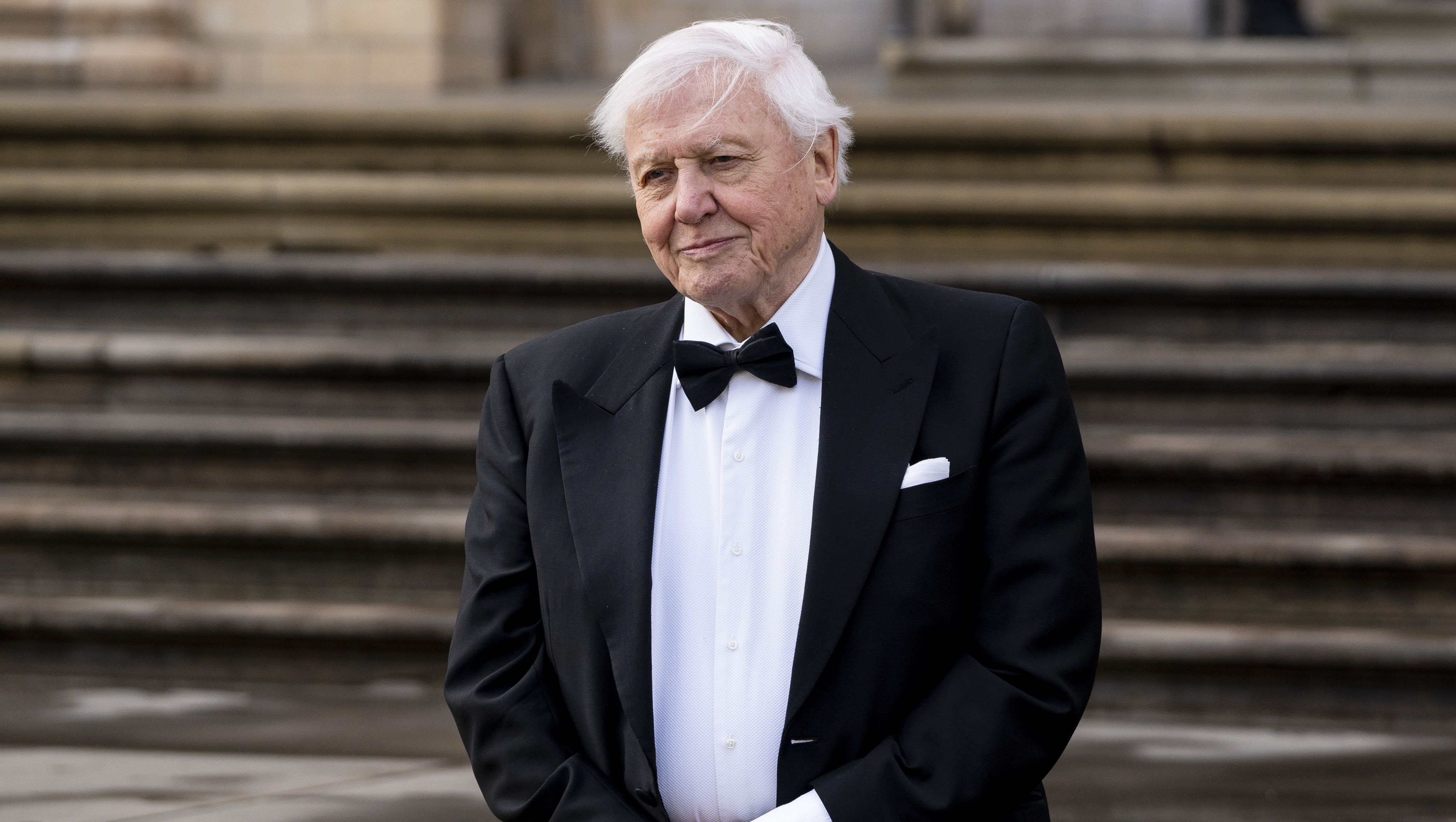 Sir David Attenborough Guiness-rekordot csinált az új Instagram-fiókjával