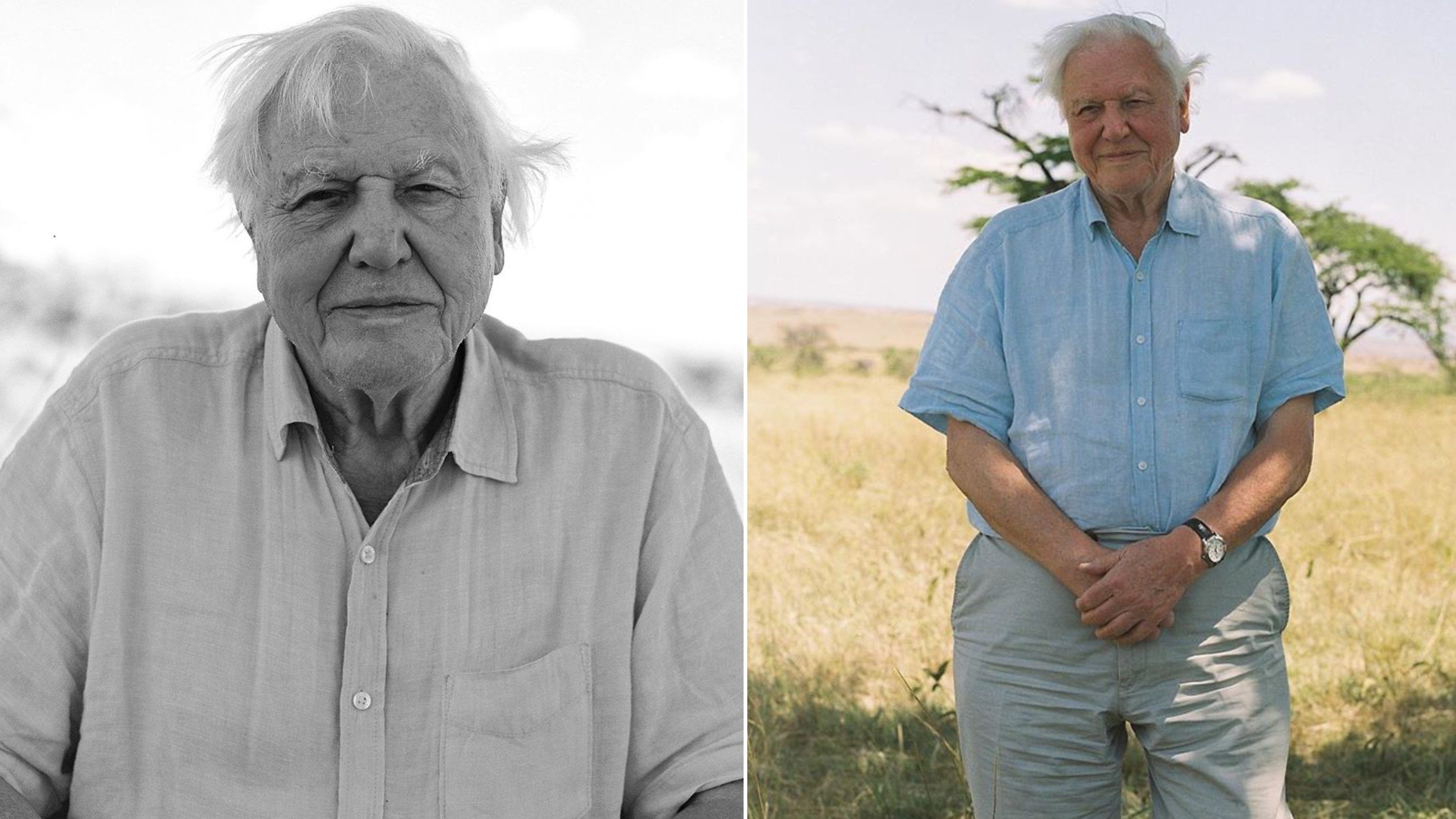 Brooklyn Beckham fotózta Sir David Attenborough-t az új dokusorozatához