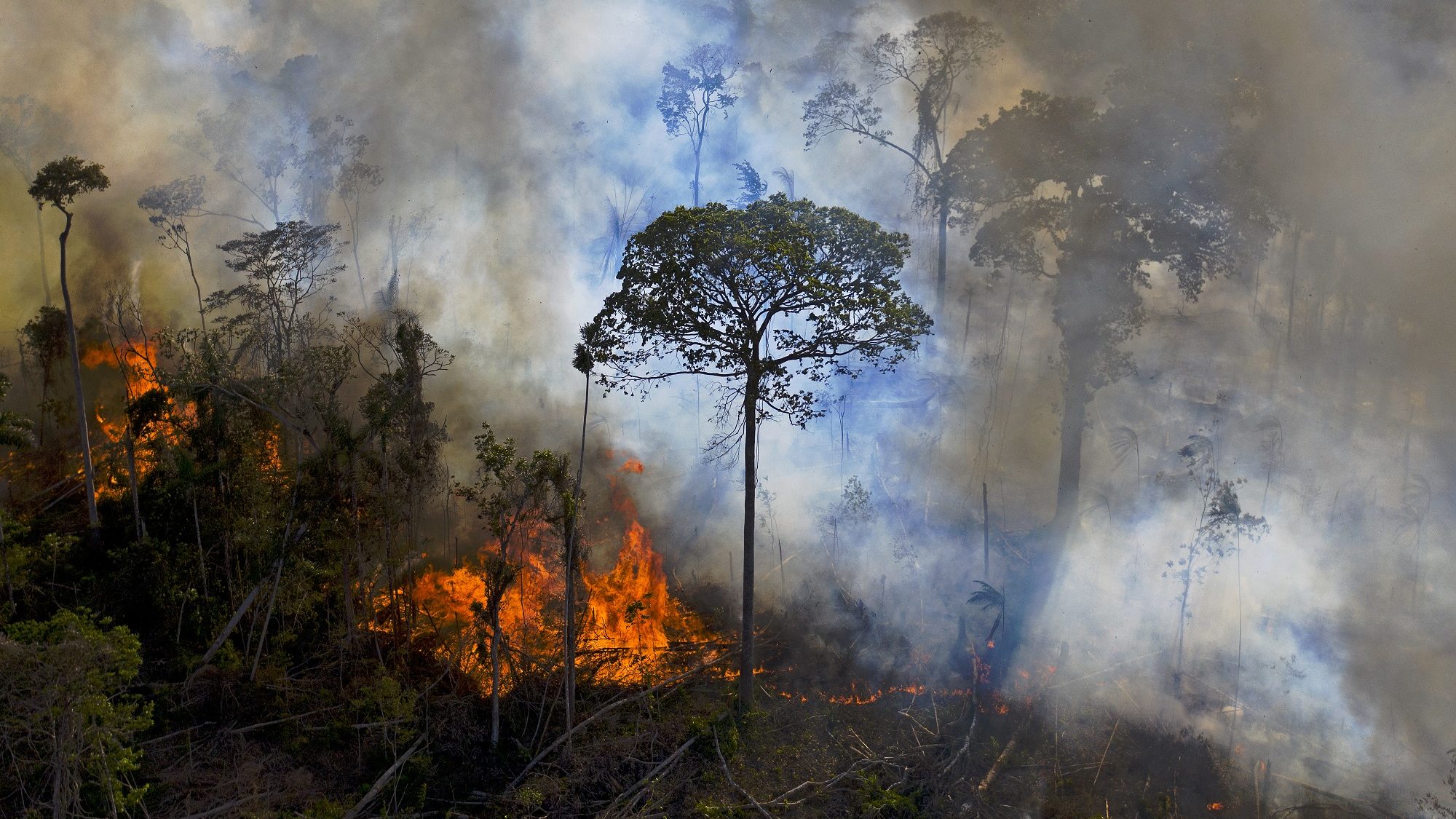 Terjed az amazonasi erdőtűz, a brazil elnök szerint ez fake news