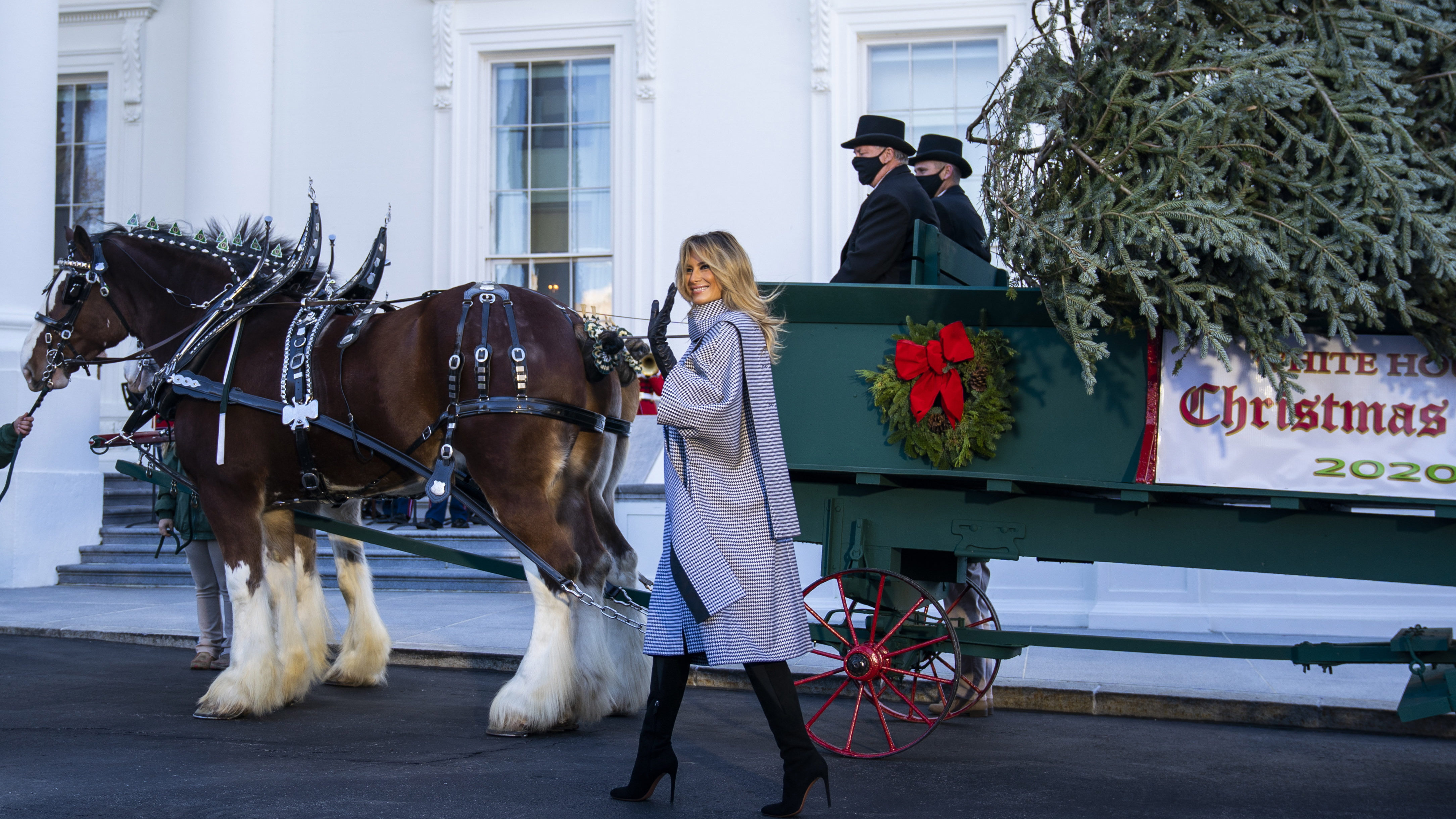 Megérkezett a Fehér Házba Trumpék utolsó karácsonyfája