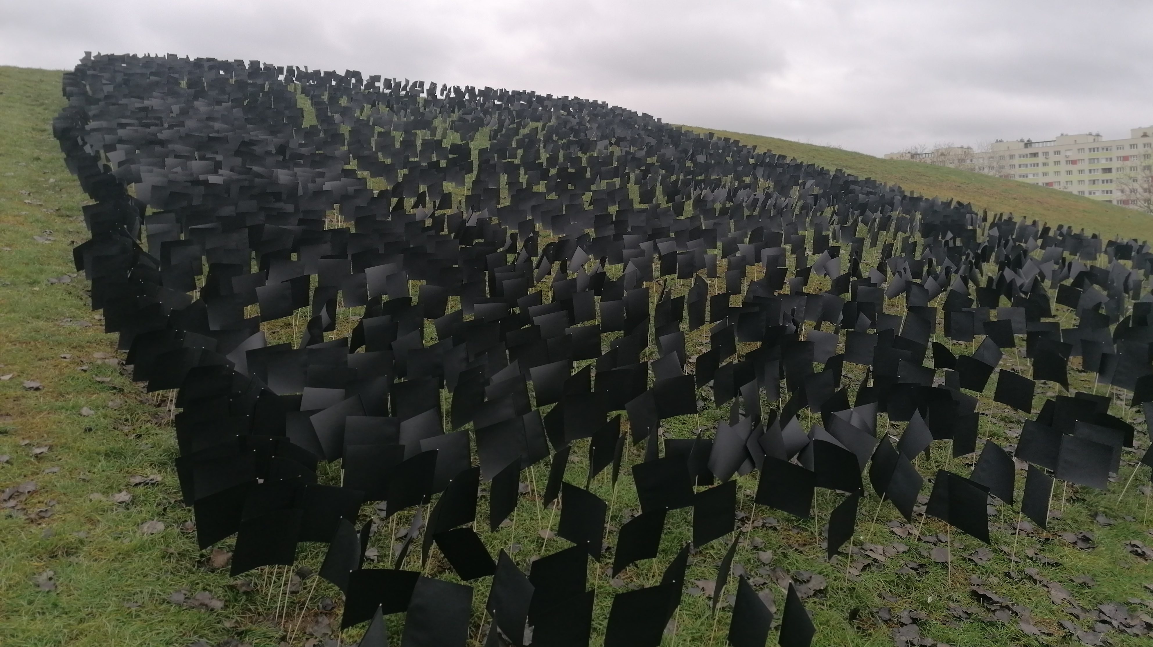 A DK hatezer fekete zászlót helyezett ki a Bikás dombon a járvány áldozataira emlékezve
