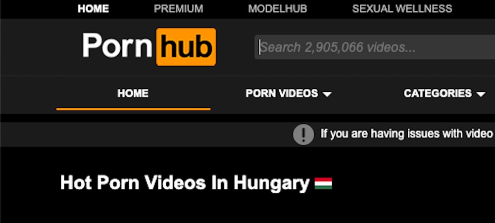 Állatkínzás, vérfertőzés, erőszak is belefért - kitálaltak a Pornhub moderátorai